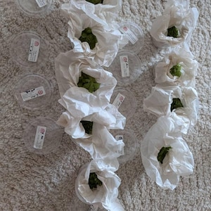L ha añadido una foto de su compra