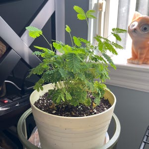 Melinda added a photo of their purchase
