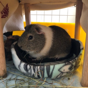 Photo inspiration: Fresh Look at Customizable Guinea Pig Hideout Fleece Animal Accessories Washable Pet