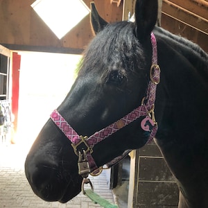 Elizabeth added a photo of their purchase