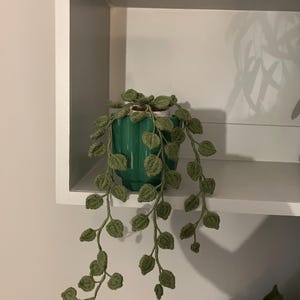 Chin added a photo of their purchase