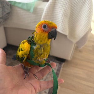 Cassie added a photo of their purchase