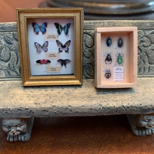 Linda added a photo of their purchase