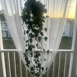 Courtney added a photo of their purchase