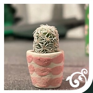 SURPRISE Micro Mini Cactus Kit and Micro Mini Handmade Ceramic Planter ...