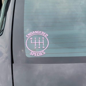 Tabatha added a photo of their purchase
