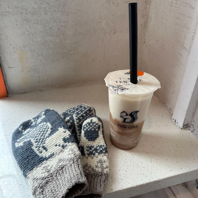 A customer's finished Squirrel Fair Isle Mittens Crochet Pattern + Video