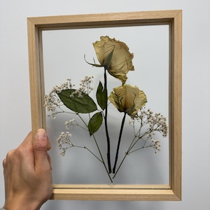 Holly added a photo of their purchase