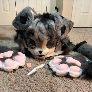 Owen added a photo of their purchase