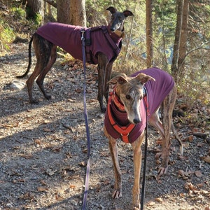 Susan added a photo of their purchase