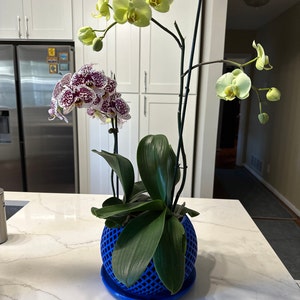 Maritza added a photo of their purchase