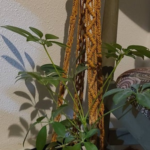 Brenda added a photo of their purchase