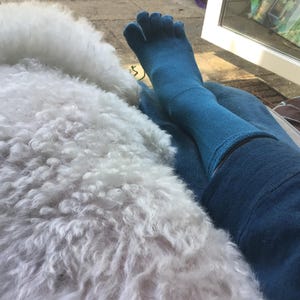 Poppy added a photo of their purchase