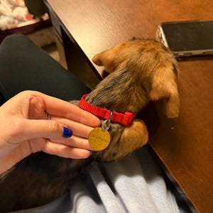 Cassie heeft een foto van de aankoop toegevoegd