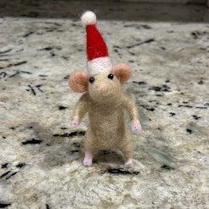 Jenny added a photo of their purchase