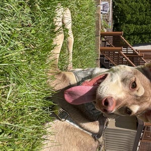 kaitlyn hat ein Foto des gekauften Artikels hinzugefügt
