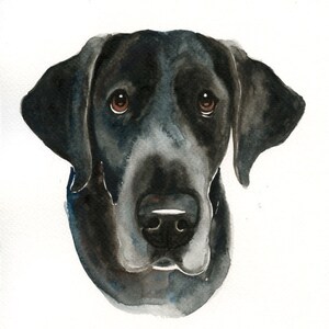 aubreehanson added a photo of their purchase