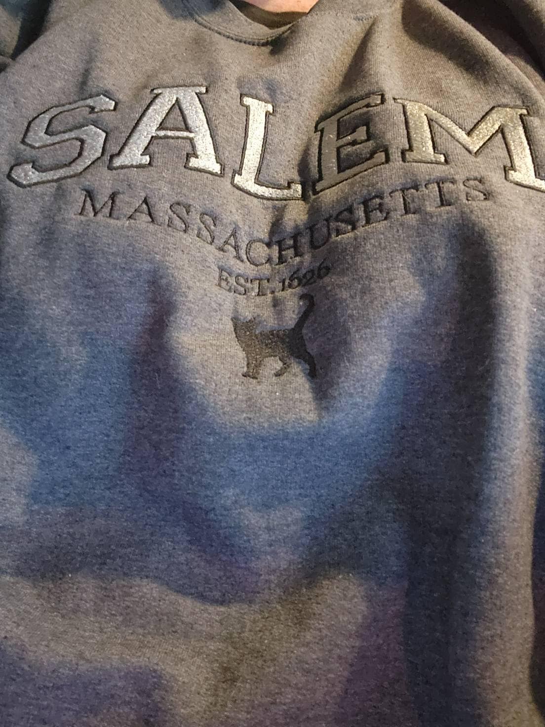 Salem Massachusetts sweatshirt, Hocus Pocus Halloween, Fall Embroidered Sweatshirt, Spooky Season Crewneck, Embroidered Sleeve witch