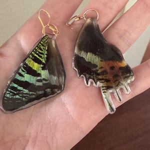 Samantha added a photo of their purchase