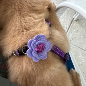 Charity added a photo of their purchase