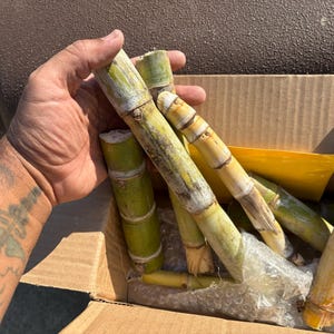 Anthony a ajouté une photo de son achat