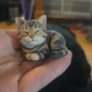 Holly added a photo of their purchase