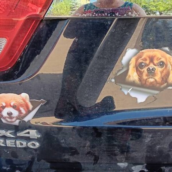 Dog Stcker Golden Retrever Car Decal Bumper Wndow Stcker - Etsy Dog Stcker Golden Retrever Car Decal Bumper Wndow Stcker - Etsy