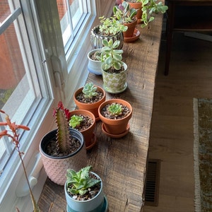 Karen added a photo of their purchase