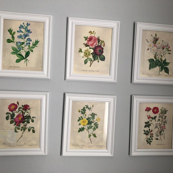Vintage Roses Wall Art Prints (set of 6) - 8x10s | Botanical Decor - Etsy