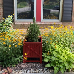 Donna added a photo of their purchase