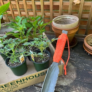 Roger added a photo of their purchase