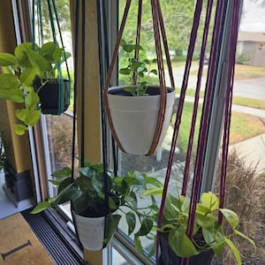Arlene added a photo of their purchase