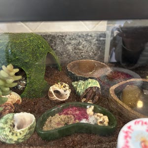 Doreen added a photo of their purchase