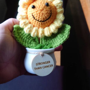 Jasmin added a photo of their purchase