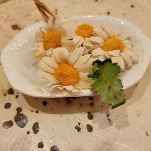 Marilyn ha aggiunto una foto del proprio acquisto