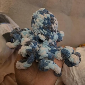 Alexis added a photo of their purchase