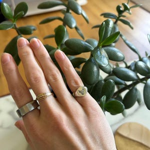 Jamie added a photo of their purchase