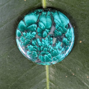 Amber hat ein Foto des gekauften Artikels hinzugefügt