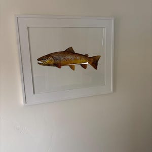 Curtis added a photo of their purchase