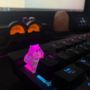 Caz a ajouté une photo de son achat