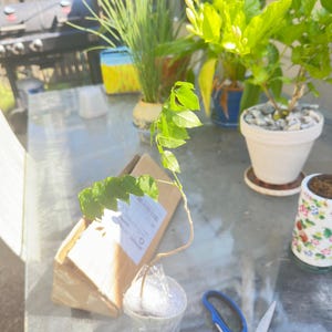 paul added a photo of their purchase