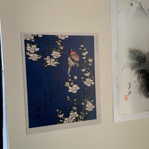 Gil added a photo of their purchase