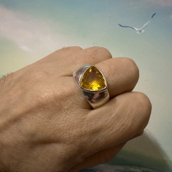 •HESSONITE GARNET - SNAKE BAND• beveled bezel silver ring (various sizes)