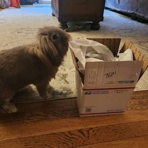 cheryl added a photo of their purchase
