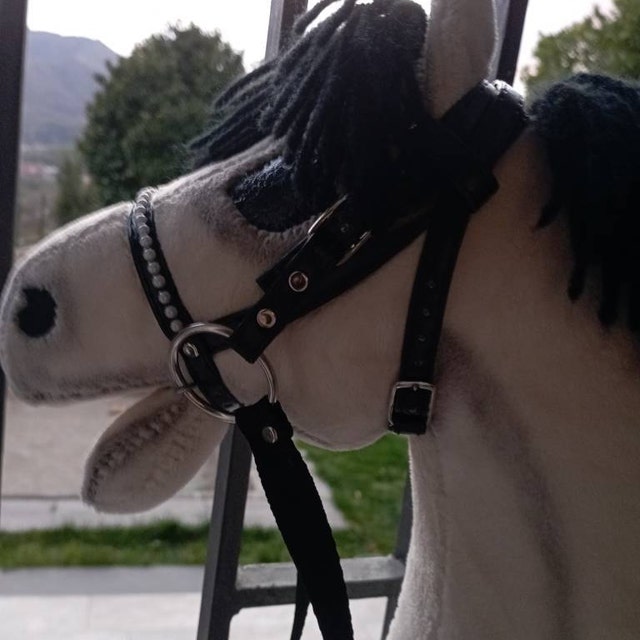 Hobby horse bridle Mexico mini Fairfield® - Hööks