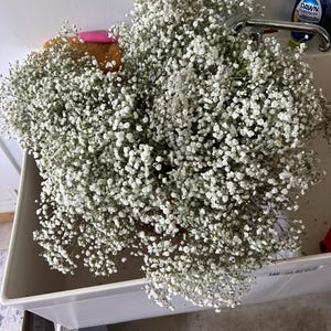 Kelly ha añadido una foto de su compra