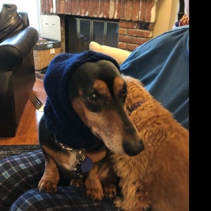 Linda added a photo of their purchase