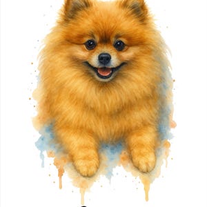 Ginger ha añadido una foto de su compra
