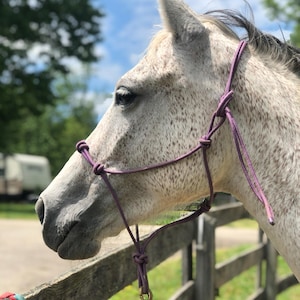 Kristina added a photo of their purchase