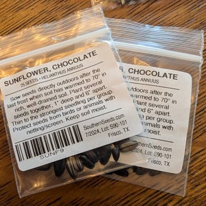 Sunflower, Chocolate | 25 Seeds | Culinary & Medicinal | Easy to Grow | Non GMO | Helianthus annuus